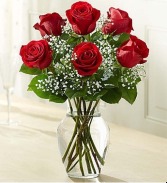 Half Dozen Red Roses 