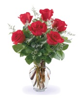 Half dozen red roses  