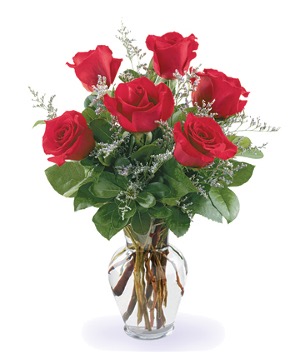 Half dozen red roses  