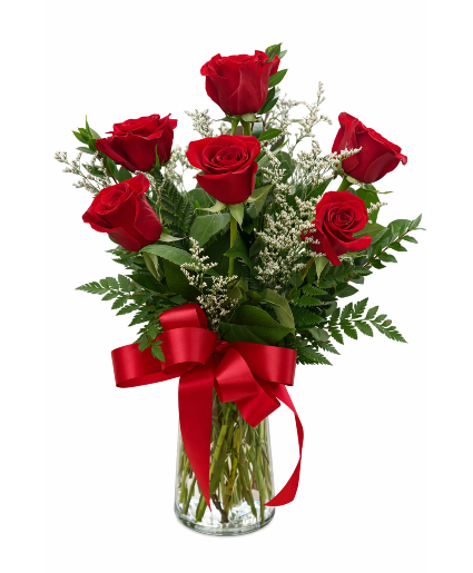Half Dozen Red Roses 