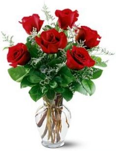 Half Dozen Red Roses  in Talihina, OK | THE PETAL 