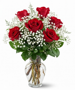 Half Dozen Red Roses Arrangement