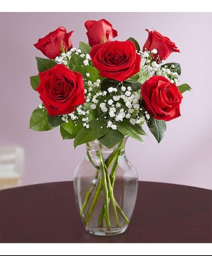 Half Dozen Red Roses Bouquet
