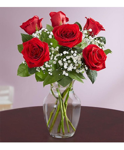 Half Dozen Red Roses Bouquet