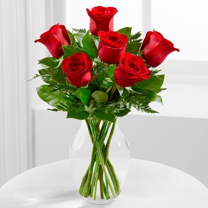 Half Dozen Red Roses in a Vase