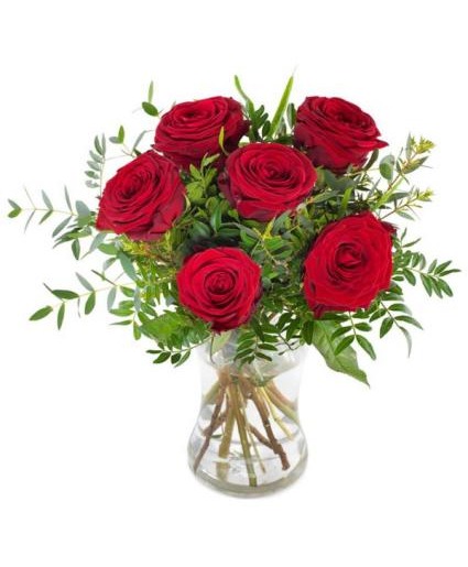 HALF DOZEN RED ROSES RED ROSES