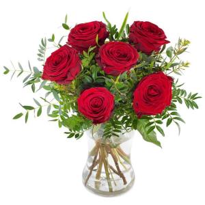 Half Dozen Red Roses  Roses