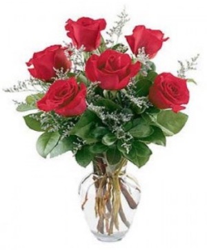 Half Dozen Red Roses Roses