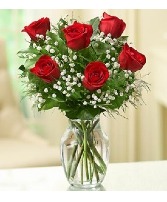 Half Dozen Roses Roses