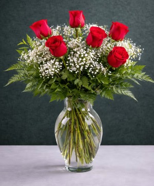 Half Dozen Red Roses Vase Arrangement 