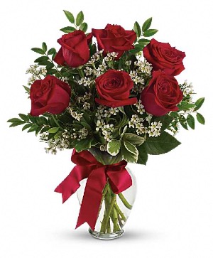 Half dozen red roses vased