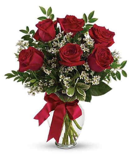 Half dozen red roses vased