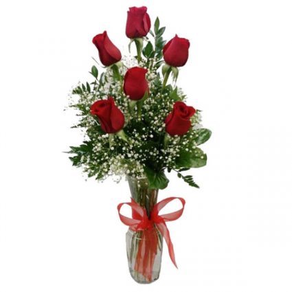 Half Dozen Roses (RED ONLY) RED ROSES ONLY