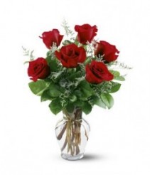 Half Dozen Red  Roses in a Vase