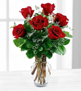 Half Dozen Roses 