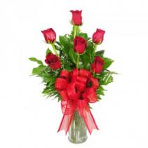 Half Dozen Roses 