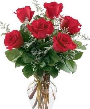 Half dozen roses 