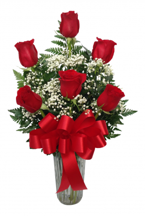 Half Dozen Roses Arrangement 
