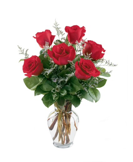 Half Dozen Roses Fresh