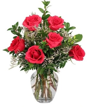 Half Dozen Roses Rose Arrangement