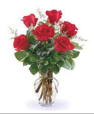 Half Dozen Roses Rose Arrangement