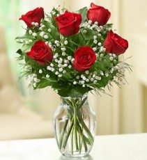 Half Dozen Roses 