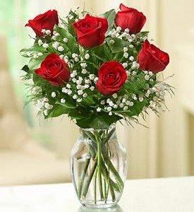 Half Dozen Roses 