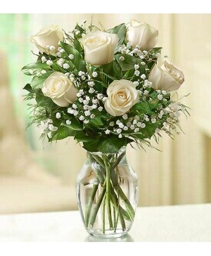 Half Dozen White Roses Arrangement