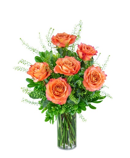 Half Dozen Wild and Free Spirit Roses Flower Arrangement