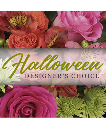 Halloween Arrangement Designer's Choice in Philadelphia, PA | QA Test Account