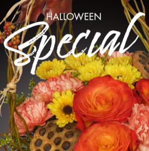 Halloween Designer Choice 