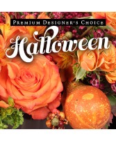 Halloween Designer Choice 