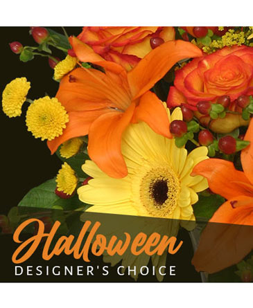 Halloween Designer's Choice in Los Lunas, NM | Bloom Flowers & Gifts