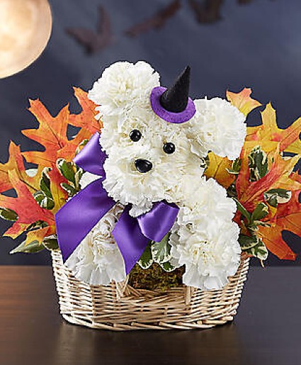 Halloween Dog Basket Arrangement