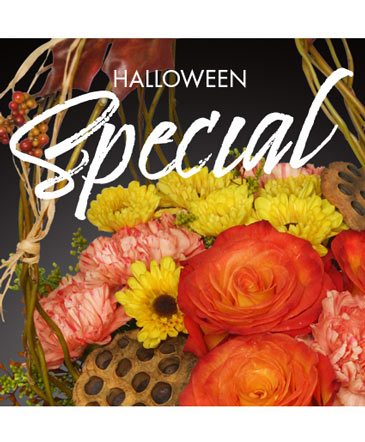 Halloween Special Designer's Choice in Los Lunas, NM | Bloom Flowers & Gifts