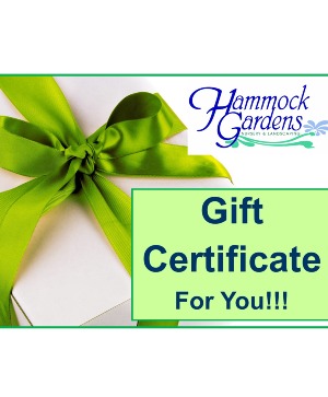 Hammock Gardens Gift Certificate  