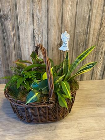 Hamper of Hope dish garden in Coralville, IA | Every Bloomin' Thing