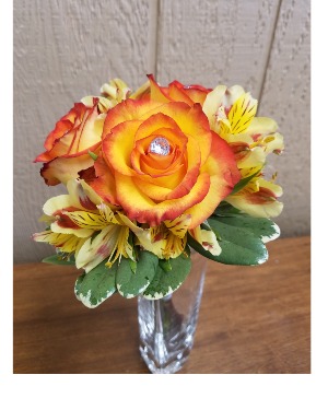 Hand bouquet of Roses 