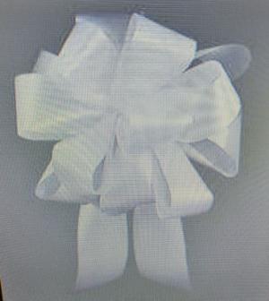 Hand Tied Bow Not deliverable by itself...