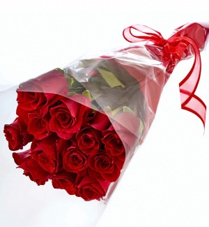 Hand tied  12 RED roses  Hand tied with greens