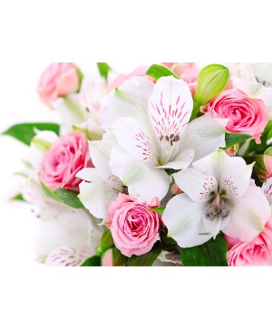 Hand Wrap Bouquet - Pink and white 