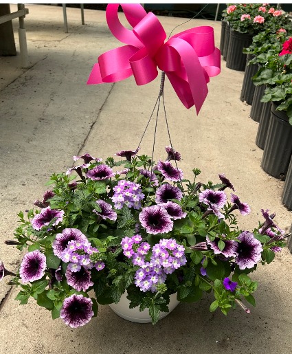 2 Hanging annual 10"baskets 2 for $60.00