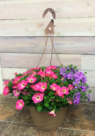 Hanging Basket/ Patio Planter 