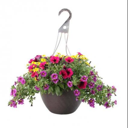 Spring Hanging Basket 