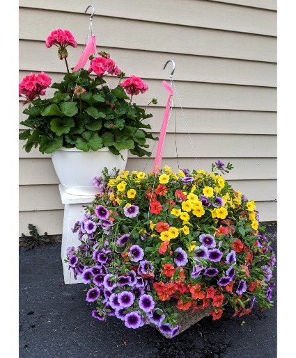 Hanging  Basket