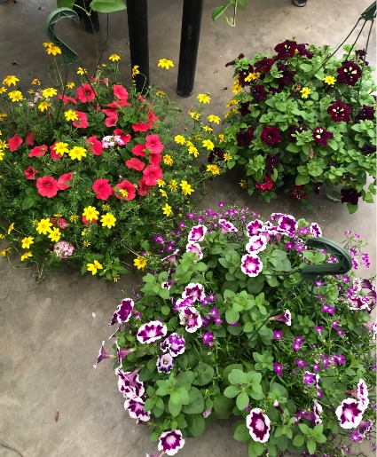 HANGING BASKET  