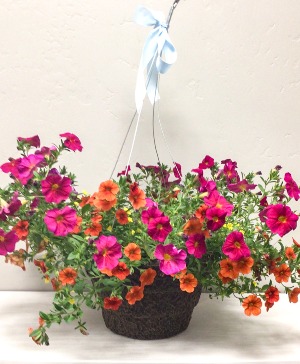 Hanging Basket Available May 4, 2026