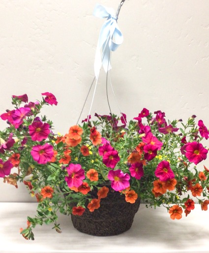 Hanging Basket Available May 4, 2026