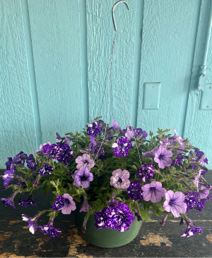 Hanging Basket Outside Plant