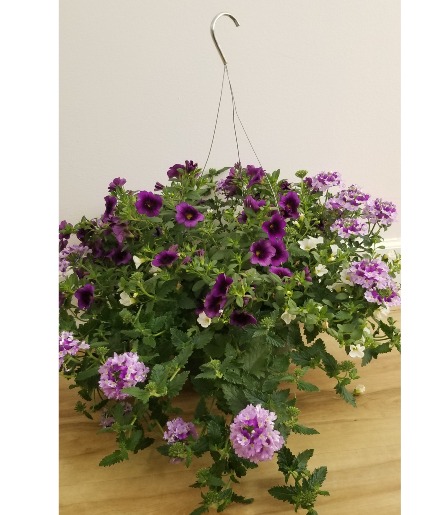 Hanging Basket-Limited Time Sold Out